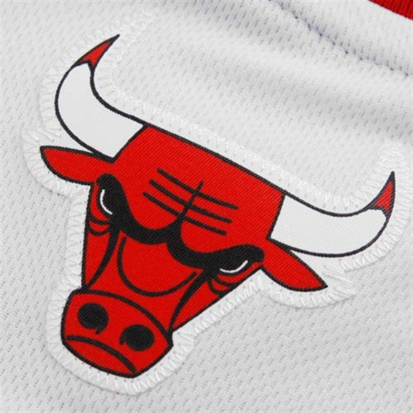 Adidas NBA Jersey Bulls ROSE #1 White