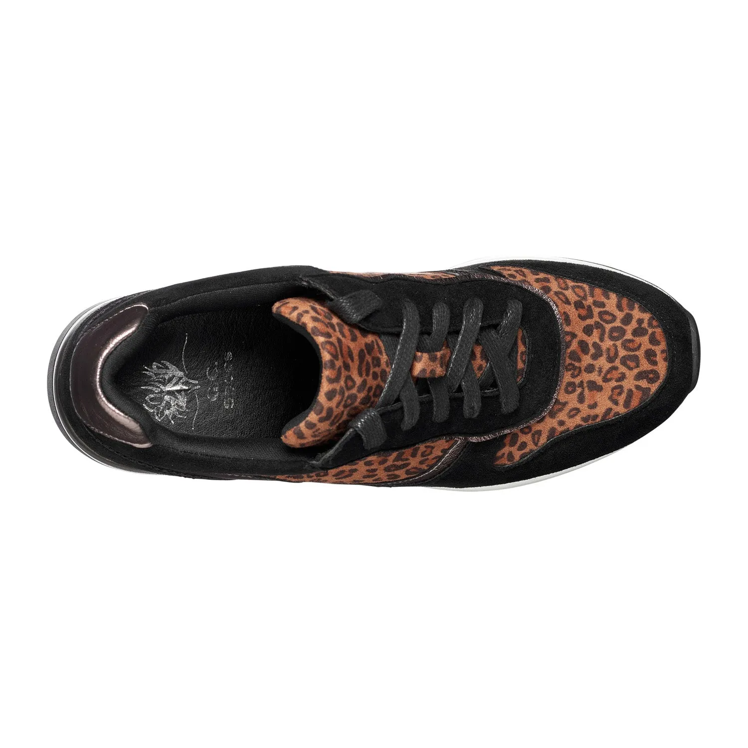 Canali Leopard Sneakers