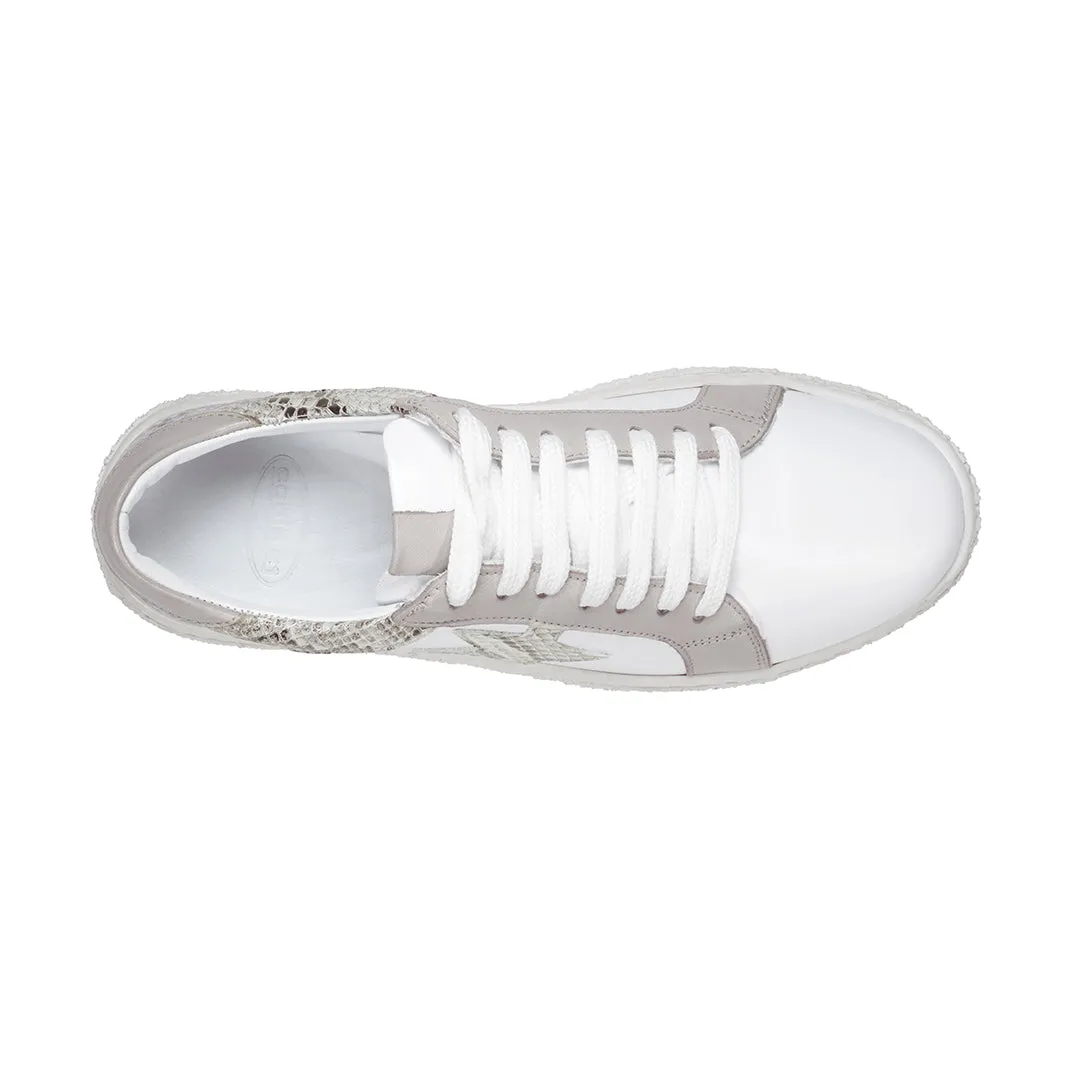 Charlee White Snake Skin Two-Tone Star Motif Lace Up Sneakers