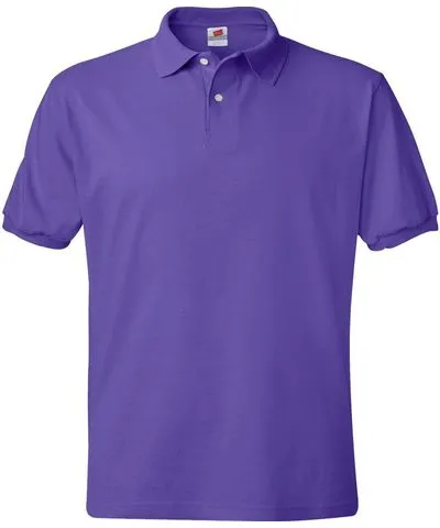 Hanes Men's Ecosmart Jersey Polo