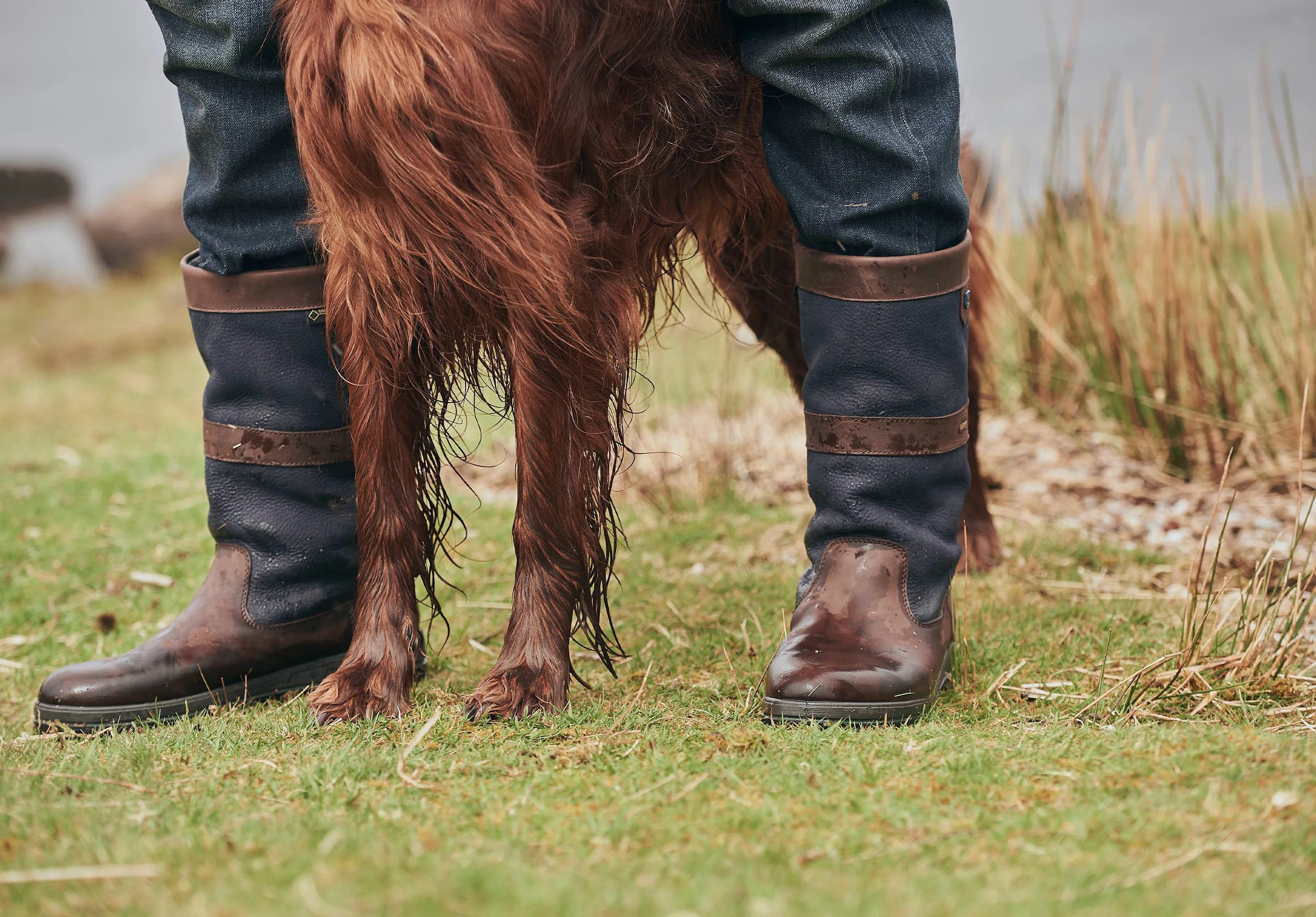 Kildare Mens ExtraFit  Country Boot  - Navy/Brown