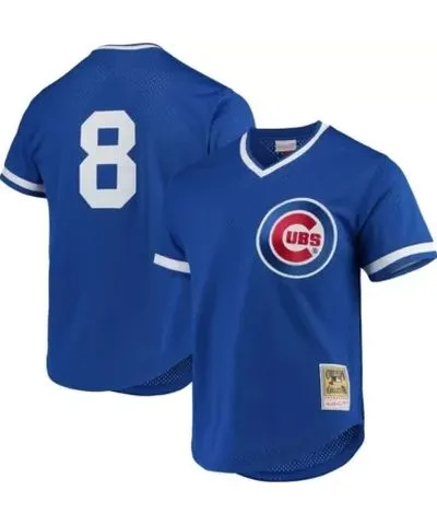 Mitchell & Ness Men's MLB Andre Dawson Chicago Cubs Cooperstown Collection Mesh Batting Practice Jersey