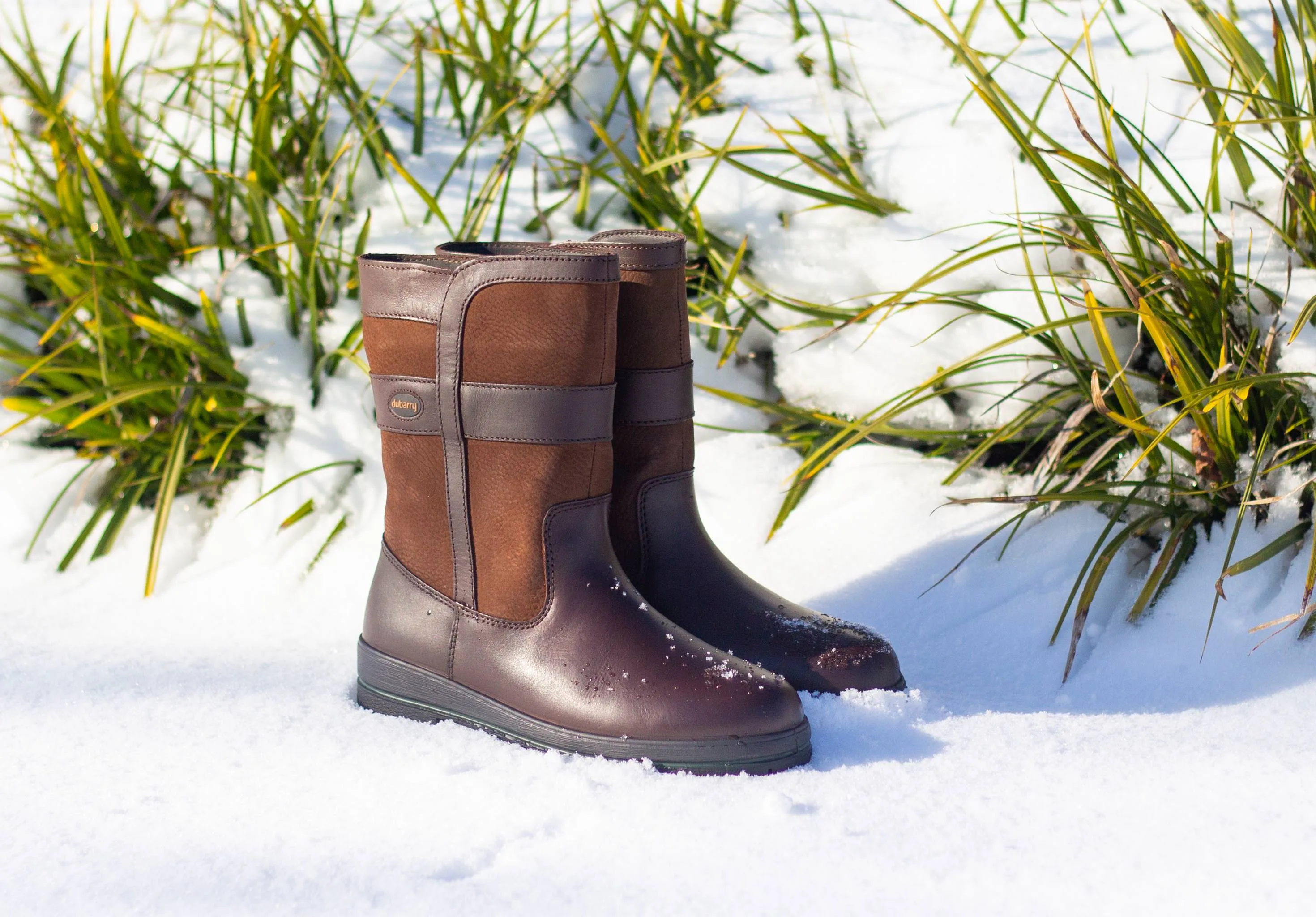 Roscommon Mens Country Boot - Walnut